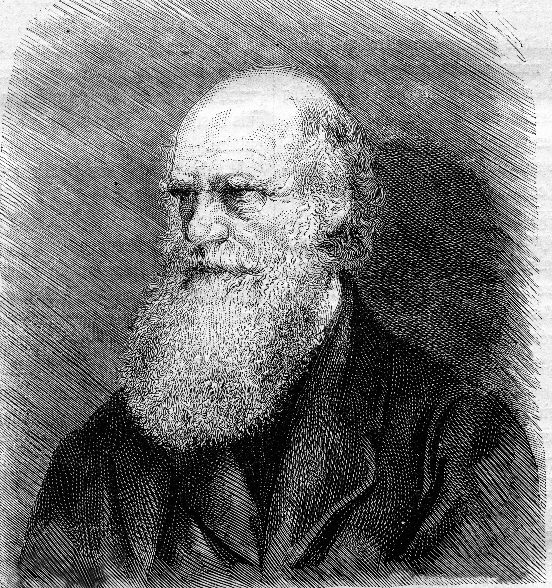 9 Famous Thinkers from History Who Were Habitual Walkers