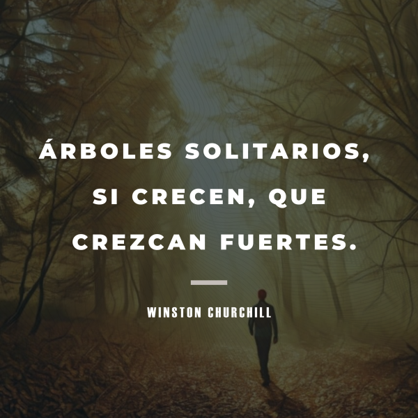 26 citas sobre la soledad para inspirar reflexiones tranquilas