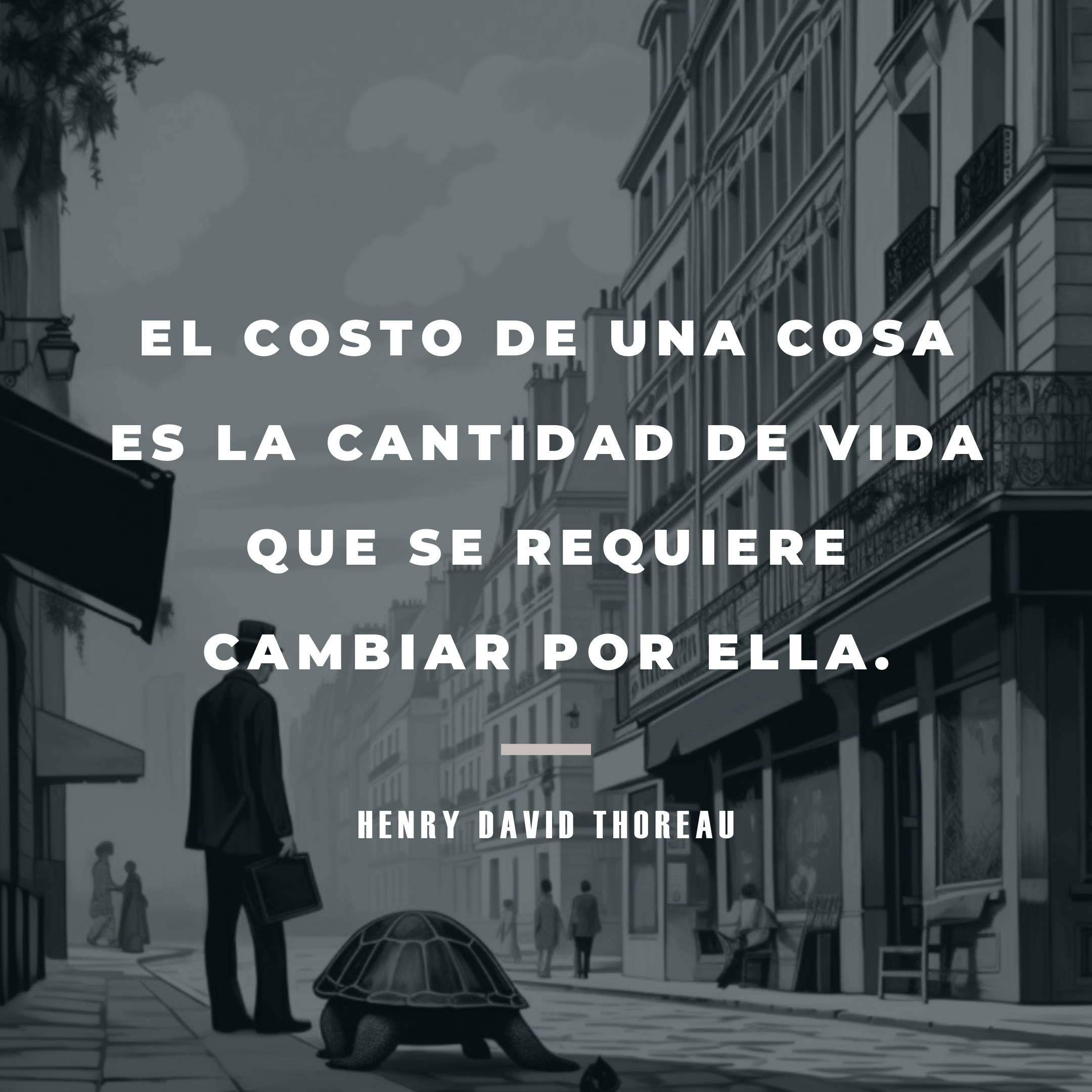 frases-de-vida-lenta 7 frases-de-vida-lenta 7