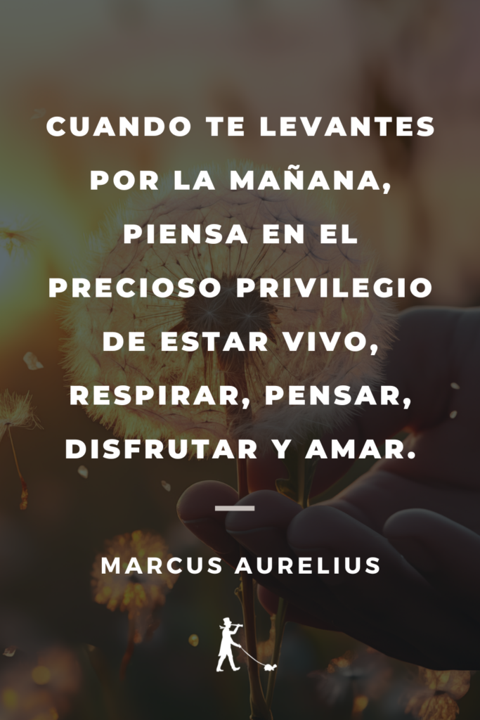 99 Frases Sobre Vivir El Momento